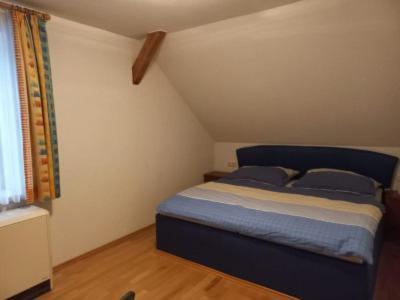 Apartment Viktoria Buchegger *